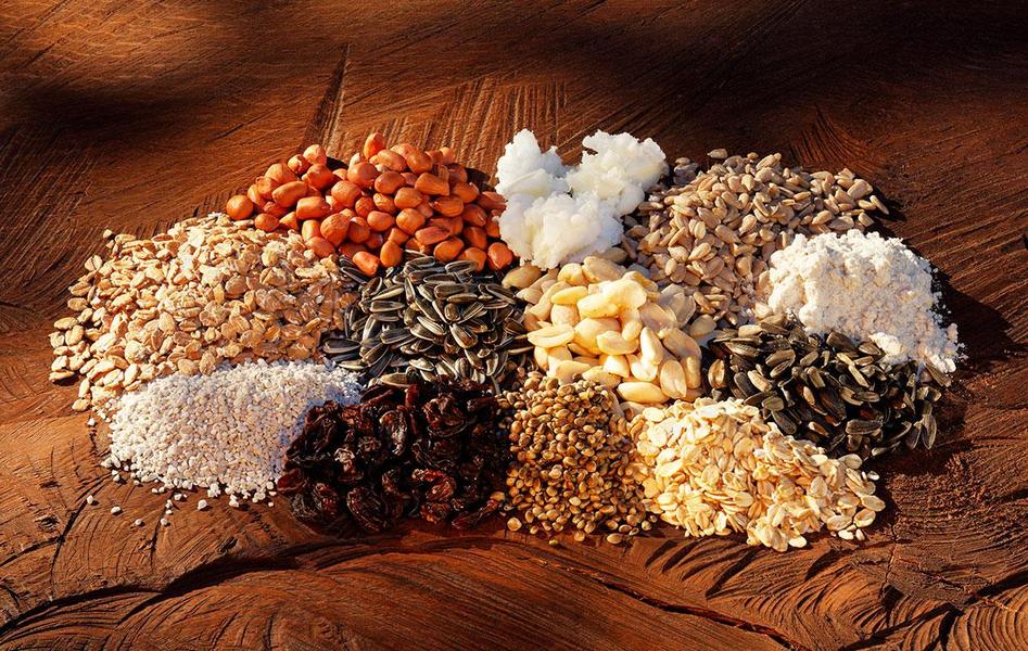 Eine Anordnung verschiedener Samen und Körner auf einem Holzuntergrund. Die Sorten sind klar voneinander getrennt und schaffen ein ansprechendes Muster.