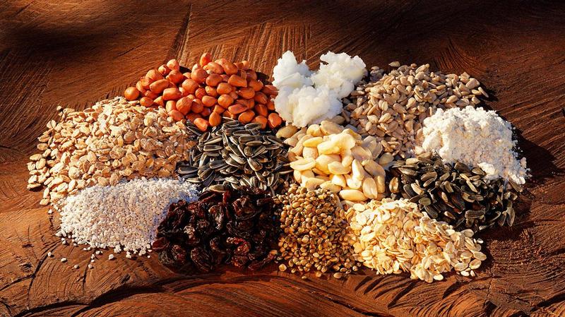 Eine Anordnung verschiedener Samen und Körner auf einem Holzuntergrund. Die Sorten sind klar voneinander getrennt und schaffen ein ansprechendes Muster.