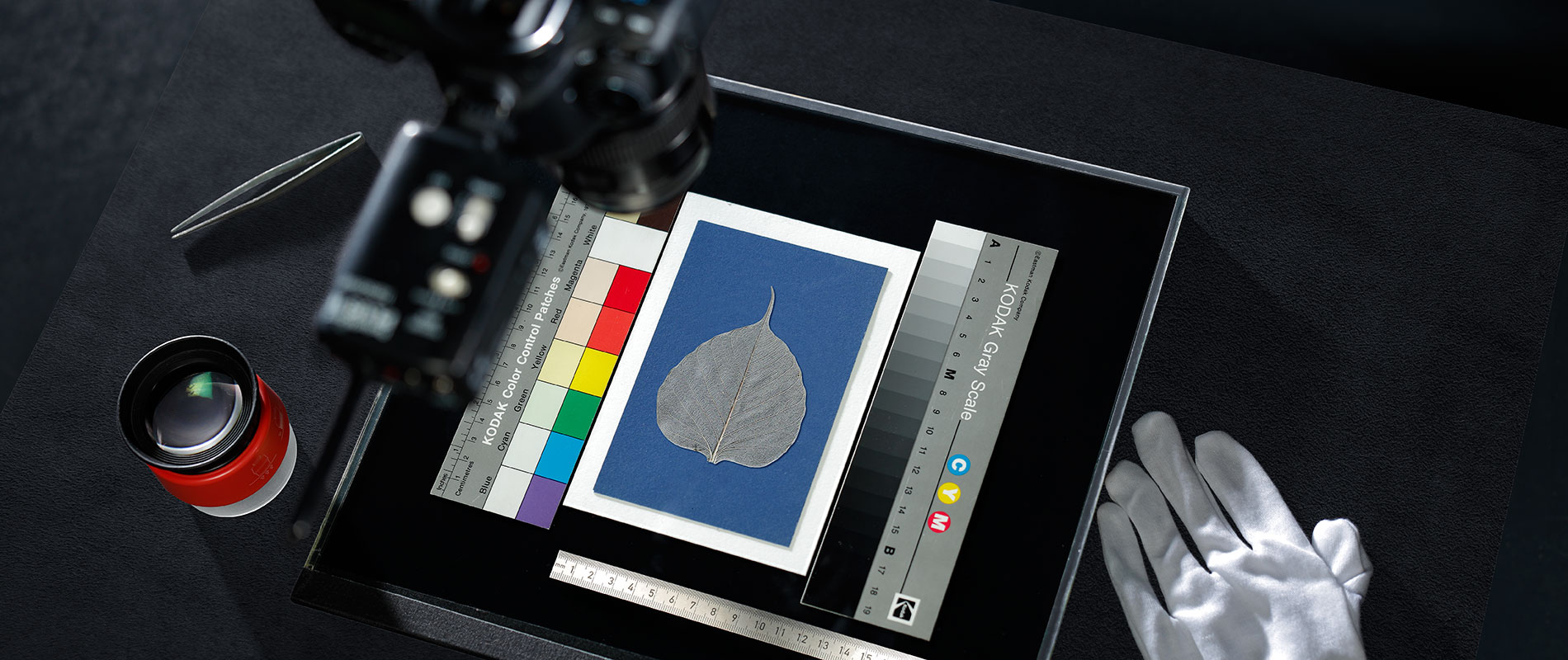 Ein Fotoapparat ist auf ein Blatt Papier gerichtet, das ein Bild eines Blattes auf blauem Hintergrund zeigt. Daneben befinden sich Farbkarten, ein Lineal und ein silberner Handschuh auf einem dunklen Tisch.