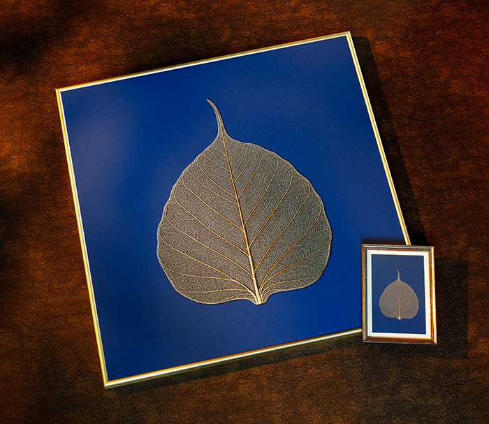 Ein großes Quadrat mit einem goldenen Blatt auf blauem Hintergrund, daneben ein kleinerer Bilderrahmen mit demselben Blatt-Motiv. Die Blattform und Textur sind deutlich sichtbar.