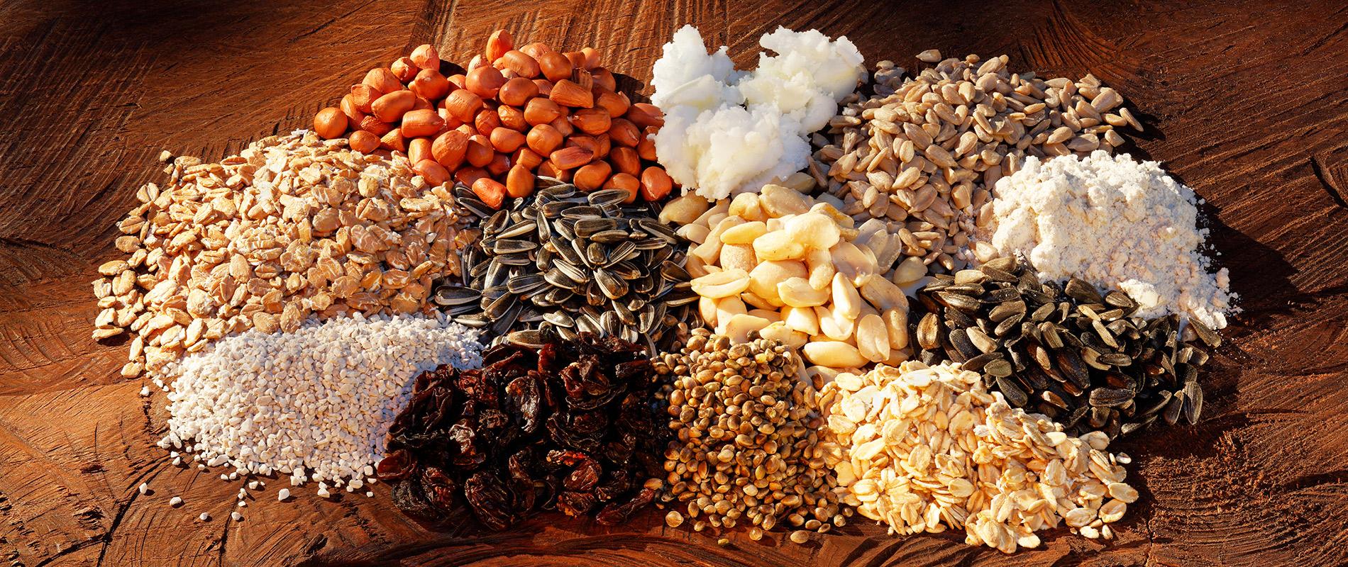 Eine Gruppe von verschiedenen Körnern, Nüssen und Samen, die auf einem Holzuntergrund angeordnet sind. Die Sorten umfassen Haferflocken, Sonnenblumenkerne, Mandeln, Leinsamen, getrocknete Früchte und Kokosraspeln, die eine Vielfalt an Texturen und Farben zeigen.